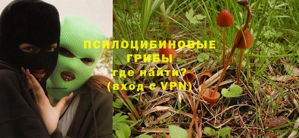 твердый Алексеевка
