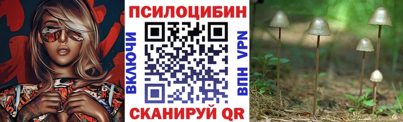 Псилоцибиновые грибы мухоморы цена Апатиты