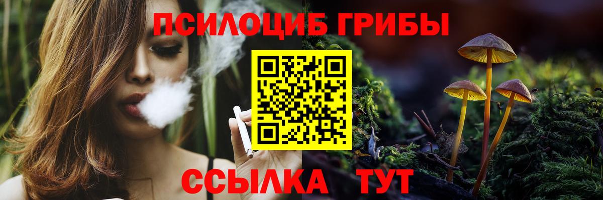 Галлюциногенные грибы мицелий  Вход с VPN  Апатиты 
